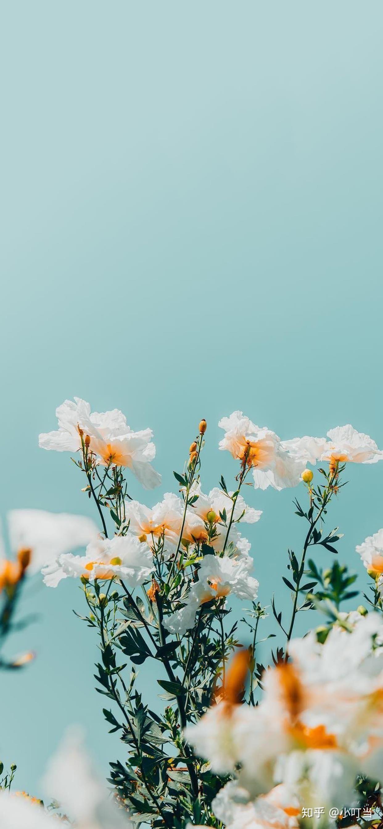 有哪些阳光开朗的头像推荐