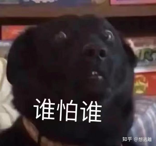 斗图必备搞笑表情包|啊对对对 你说的都对 - 知乎