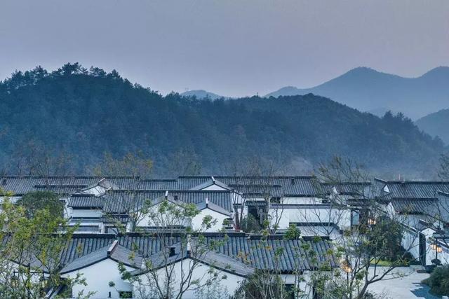 GN栖城设计 | 最美的中式设计—安吉绿城桃花源方竹园 | 管轶群 - 知乎