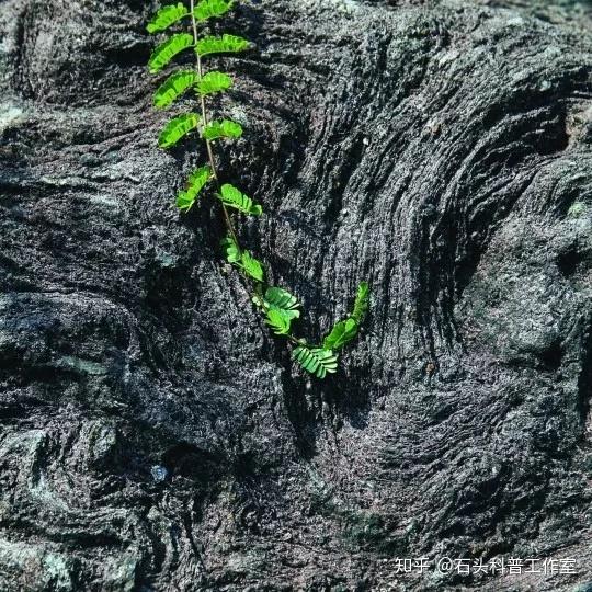 石头科考 | 常见岩浆岩的鉴别 - 知乎
