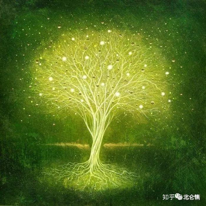 剑桥大学的科学家使用萤火虫的基因和发光海洋细菌的特殊成份构建了"