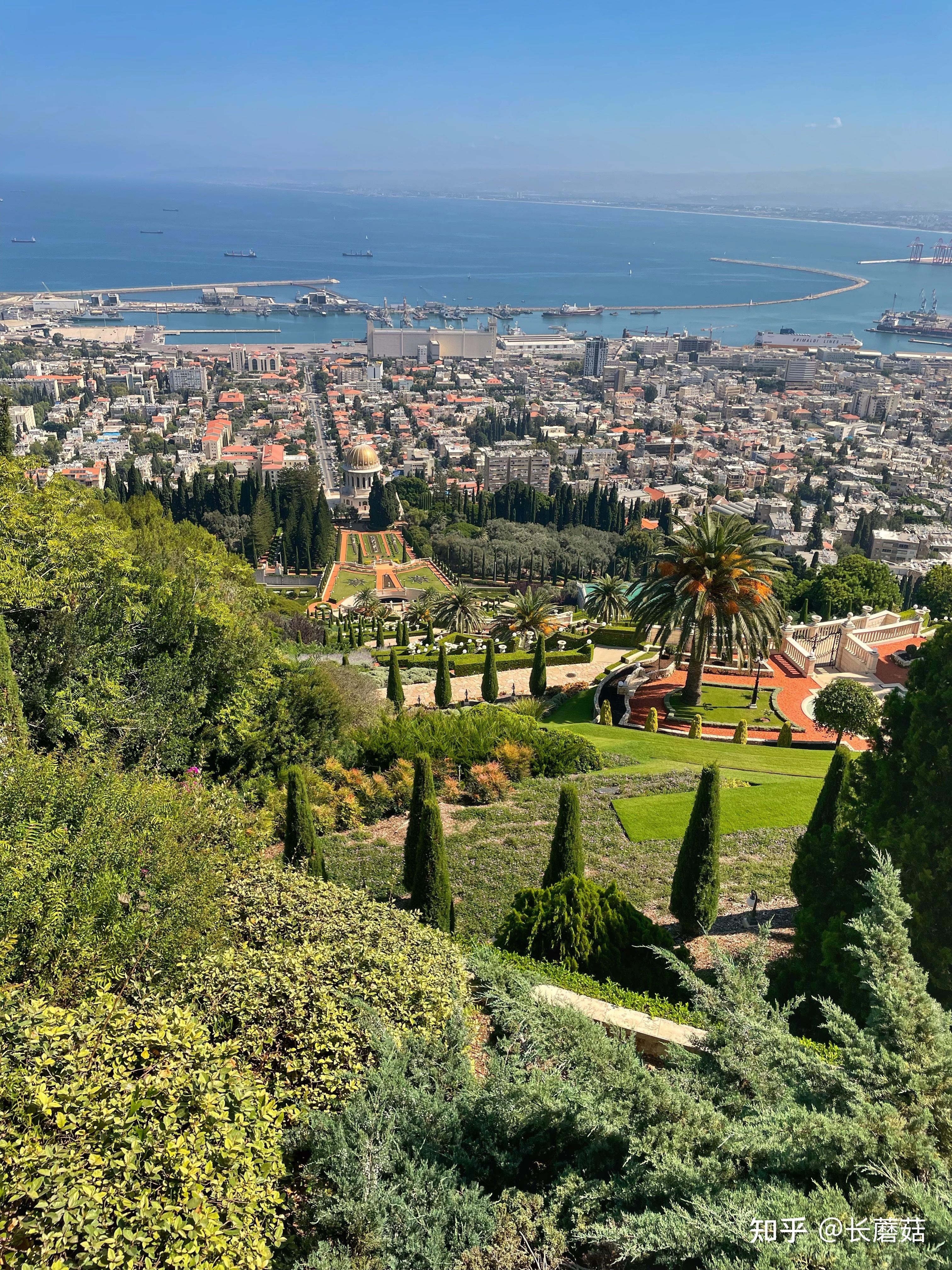 奋斗在动物世界的女工程师加利利海与海法