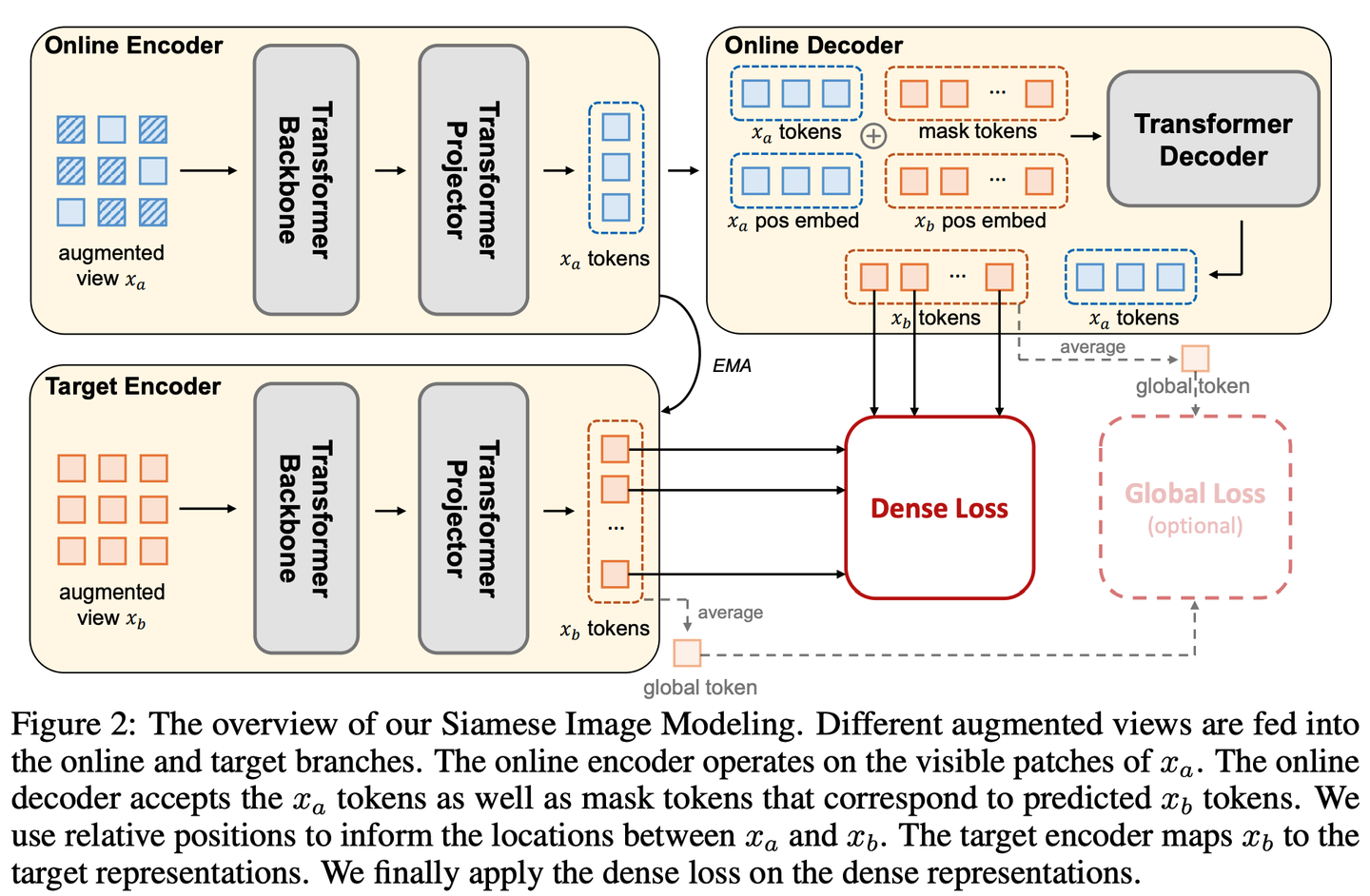 Mask Autoencoder 各类变体 - 知乎