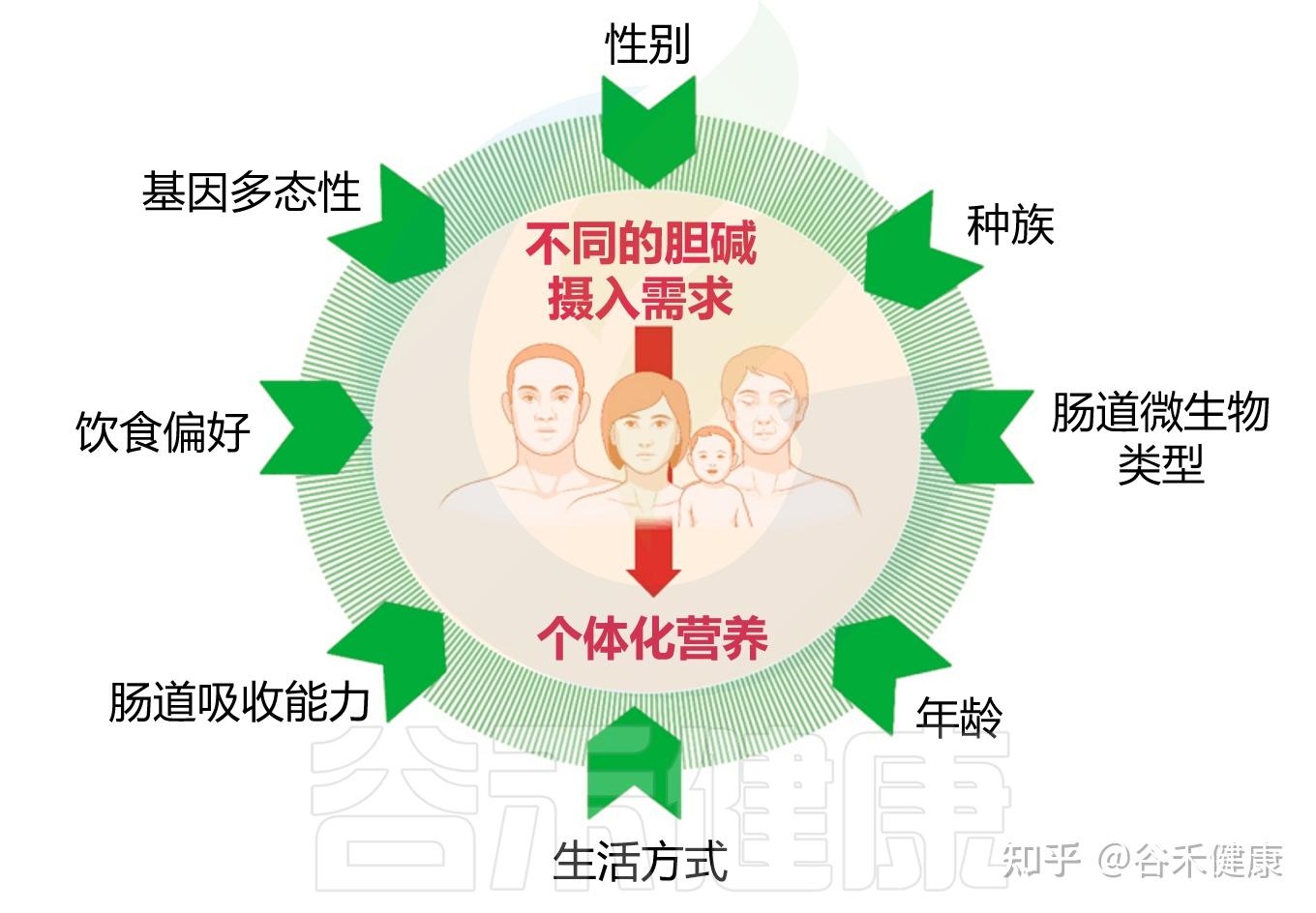 什么是胆碱，它与人体疾病有什么关系，如何平衡膳食胆碱 - 知乎