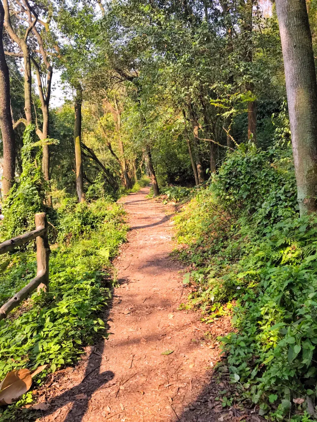 重庆：徒步张飞古道 - 知乎