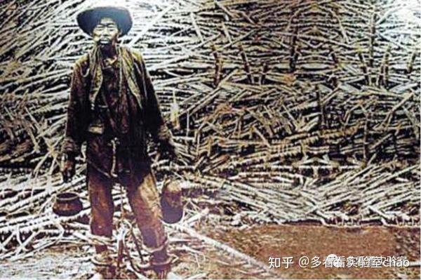 契约华工是什么类型的工作?华人下南洋被卖为“猪仔”? - 知乎