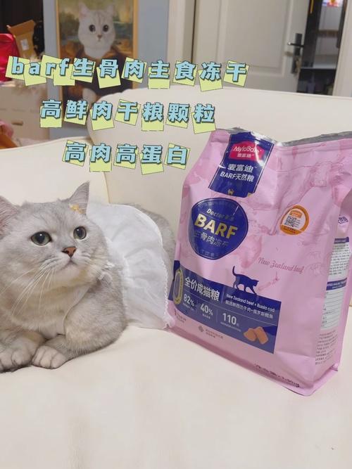 吸猫上瘾原理:吸猫为什么会上瘾?这些重要的原因你要知道