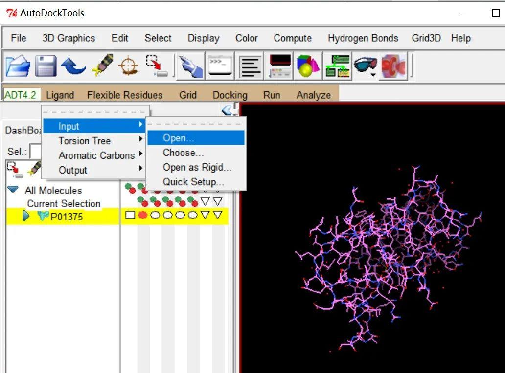 采用PyRx-Vina, DS和PyMol进行对接和分析结果 - 知乎