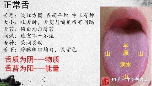 舌诊一看就明了 - 知乎