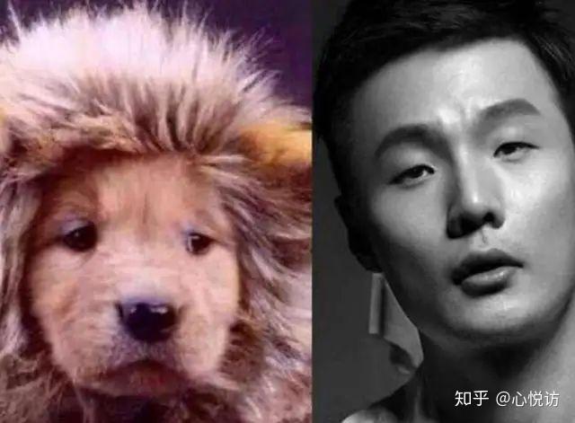 李荣浩自侃长得丑杨丞琳神回复让人哭笑不得真是一对活宝夫妻