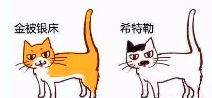 v2-ab9efc3db0f76e0e7f6d15c0916f6af7_1440w.jpg?source=172ae18b