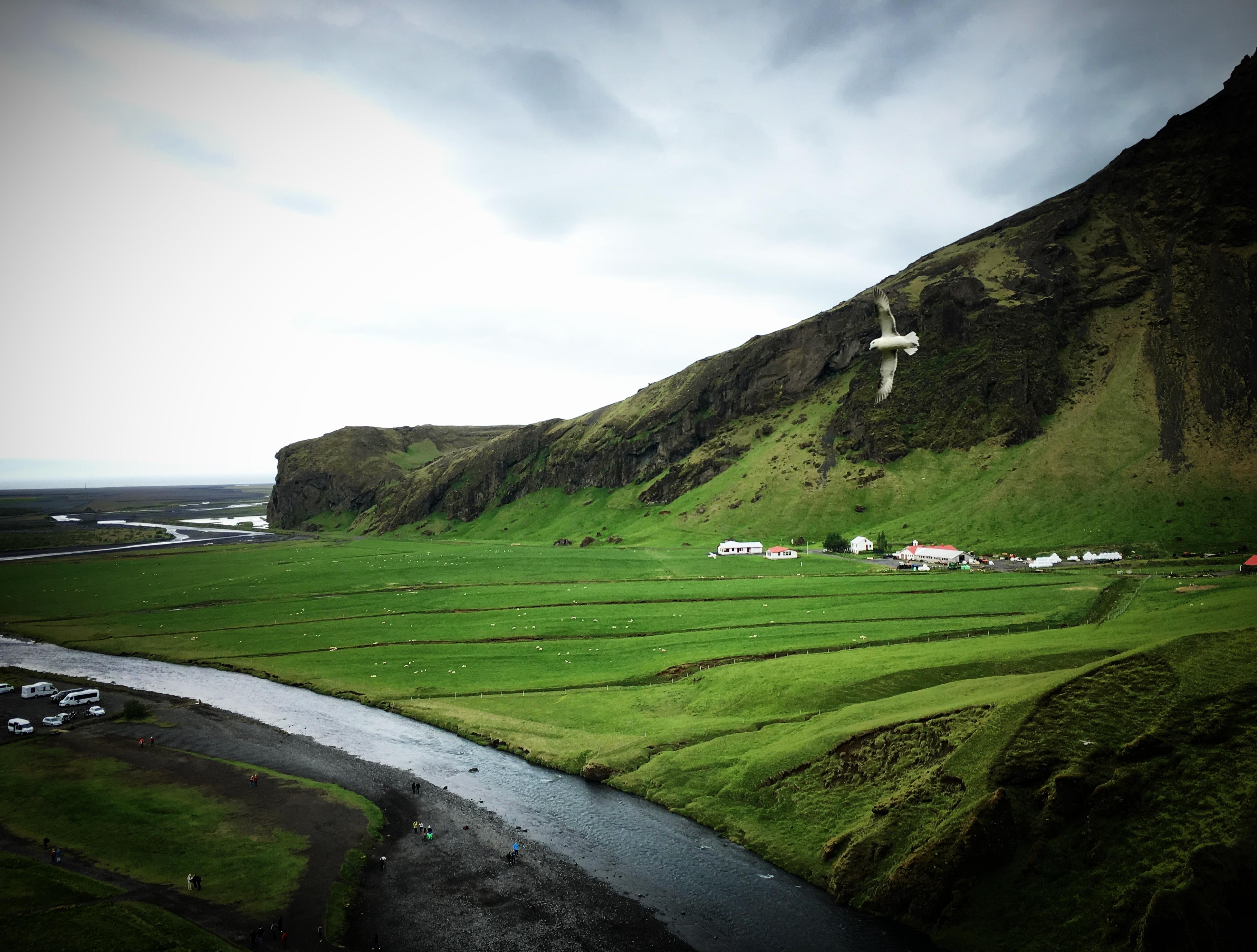冰岛行记 Impressions of Iceland|摄影|风光摄影|BITONE叶青司机 - 原创作品 - 站酷 (ZCOOL)