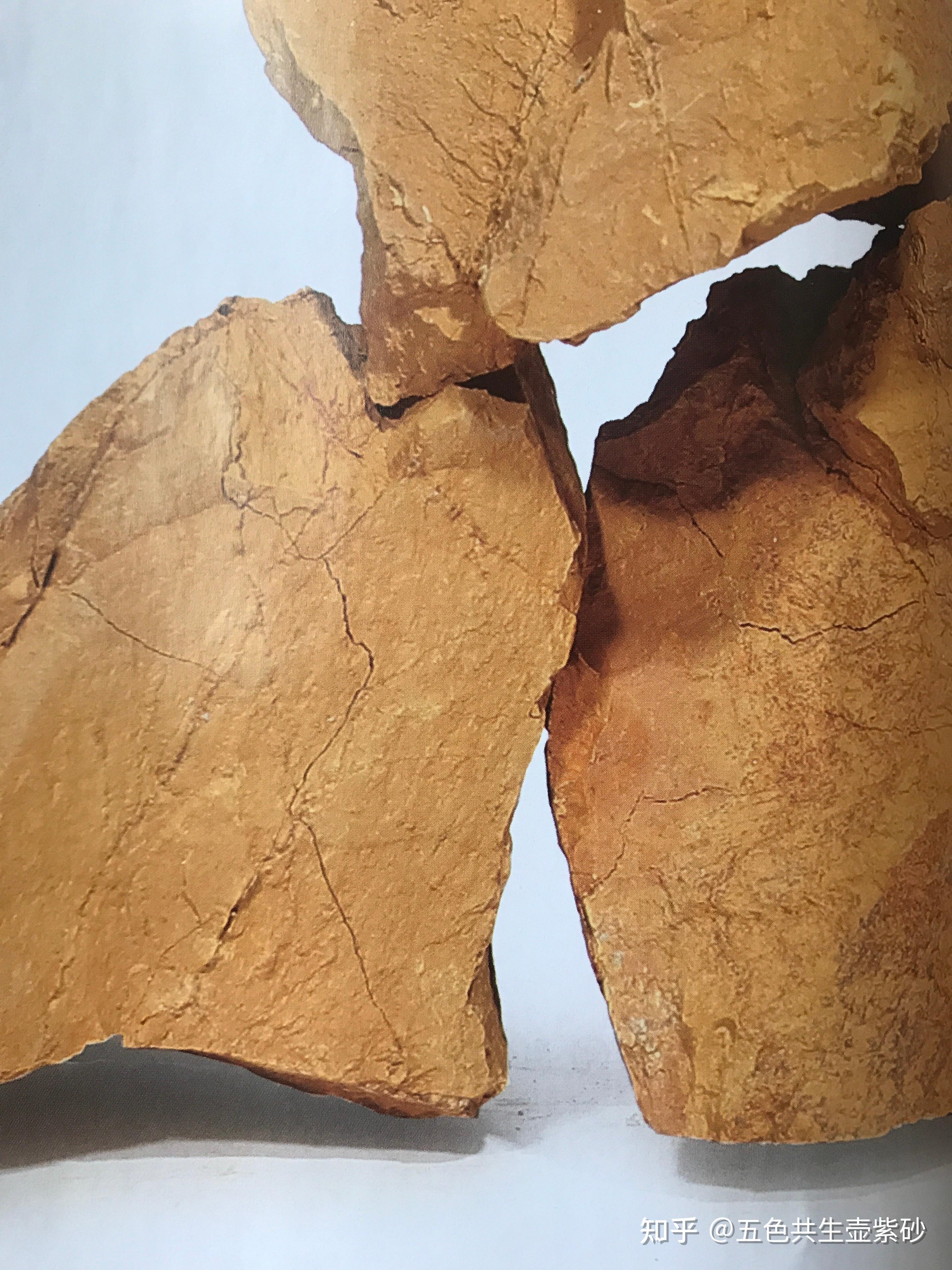 认可,清代《阳羡茗壶系》书中记载"未触风日之石骨",指的就是石黄泥