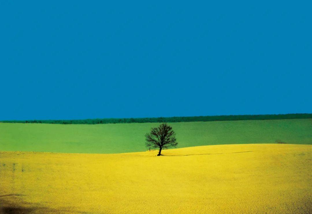 彩色摄影大师franco fontana | 作品集:摄影不应再现可见