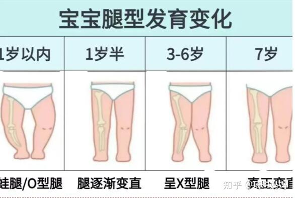 宝宝腿部发育过程图图片