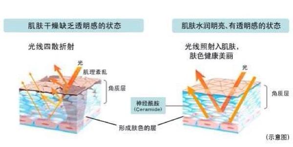 固体清洗剂哪个品牌好_唯品会化妆品有假货吗_固体健康化妆品