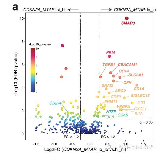 R ggplot2 