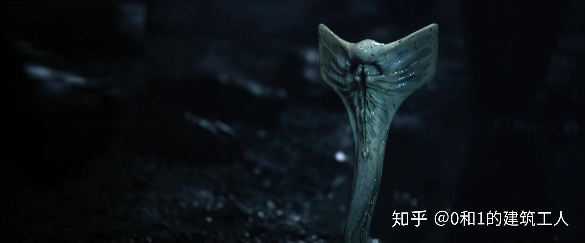 异形女王(queen)如同蜜蜂与蚂蚁的社会结构,异形社会的统治者就是