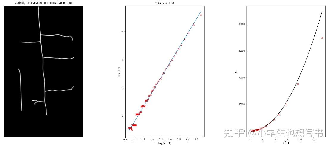 三种计算分形维数的方法及实验 v1.0 - 知乎
