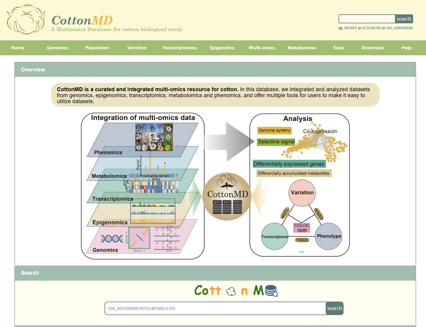 植物多物种及多组学数据库汇总 - 知乎