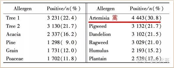 如何看待中国北方地区的蒿属花粉过敏 知乎