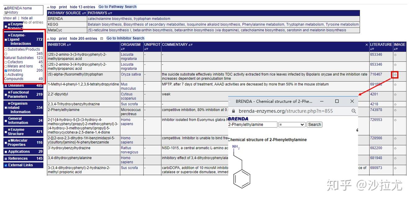 初识Enzyme DatabaseBRENDA 知乎