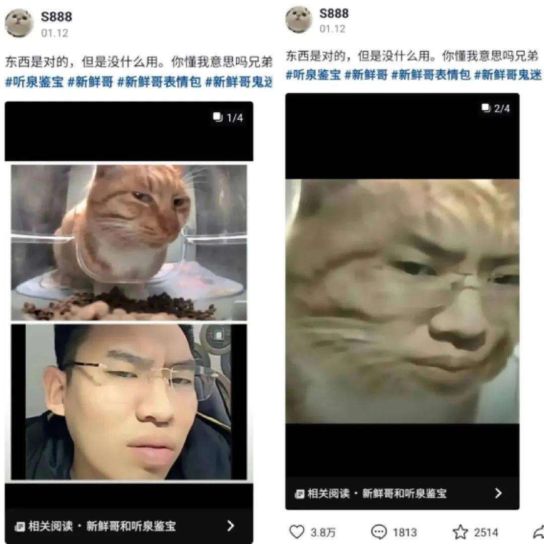 "该房间等待连麦用户已到上限.