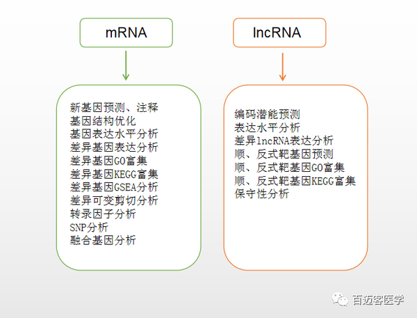 lncRNA测序分析优势及分析流程-百迈客生物 - 知乎