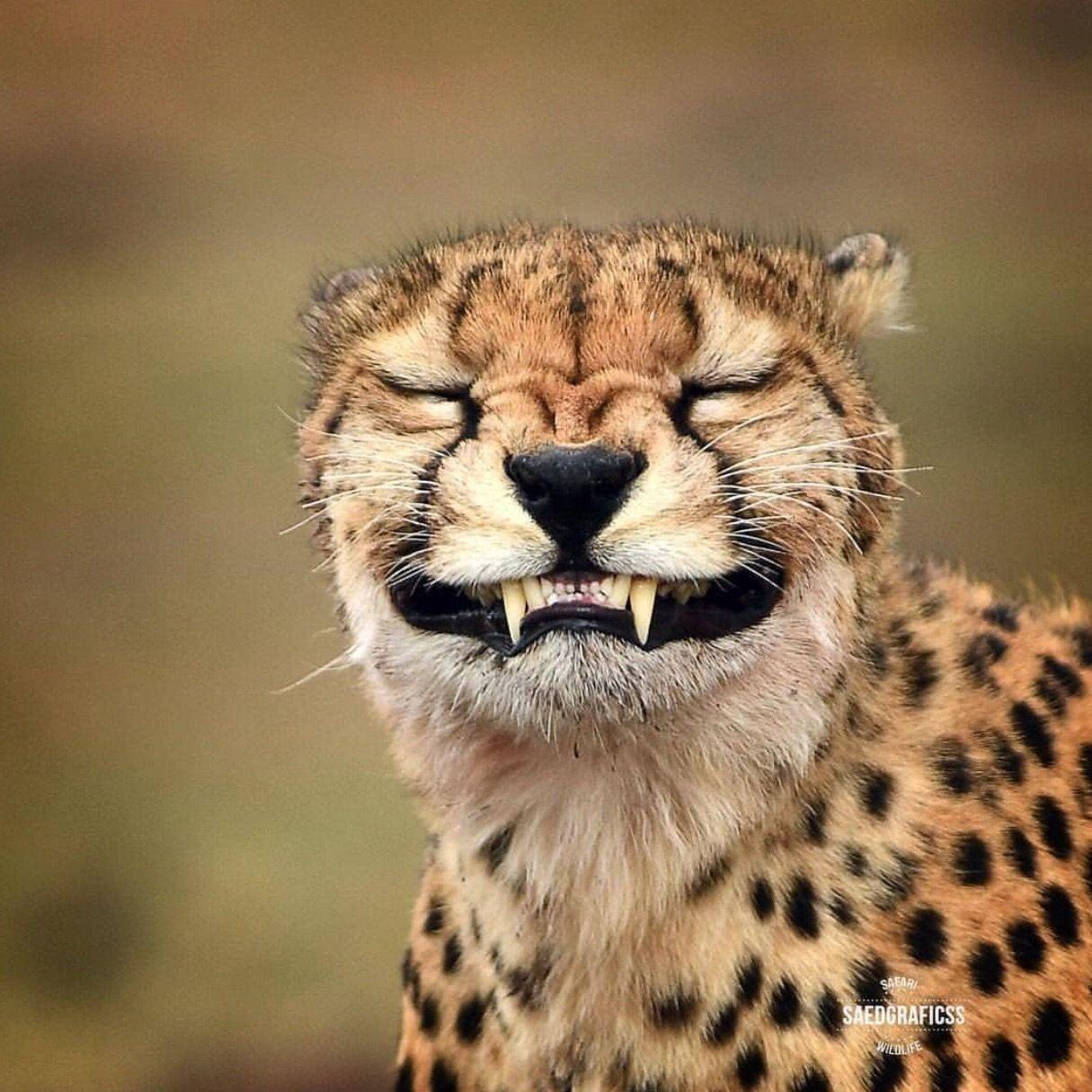 可以给我分享一下那种看起来贼舒服的壁纸吗