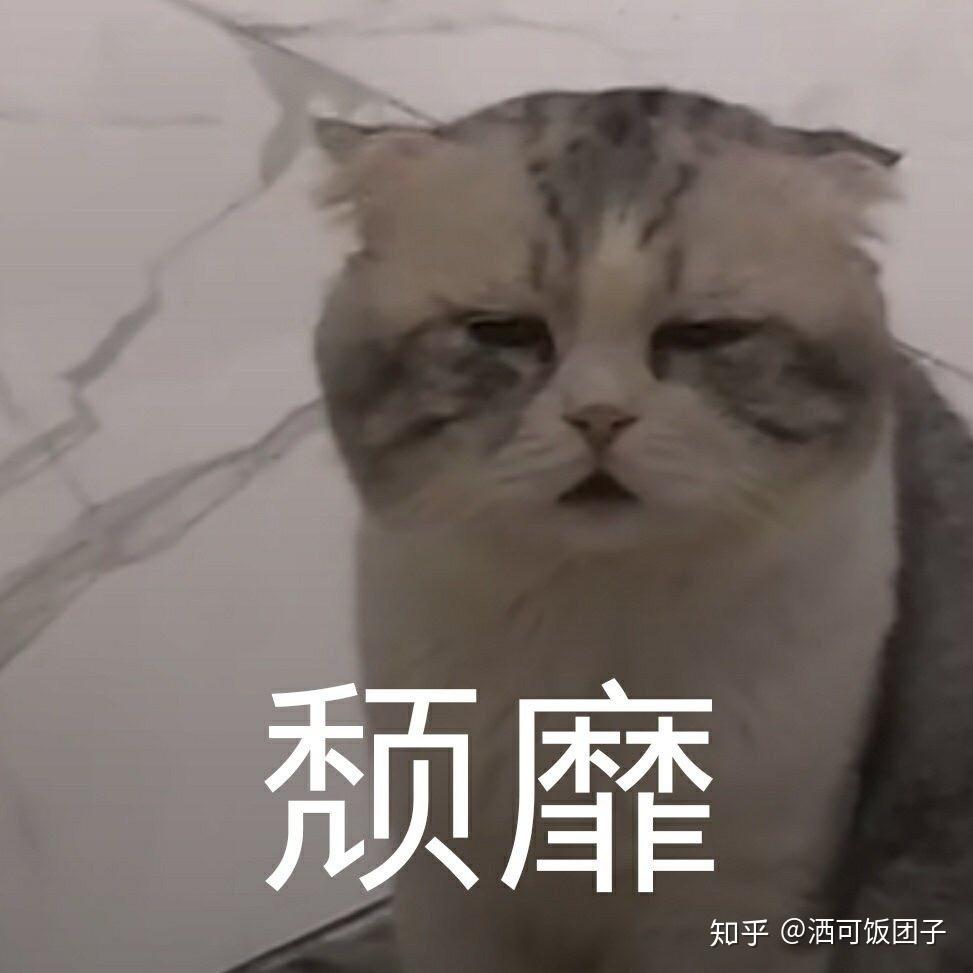 在日本配眼镜是什么样的?