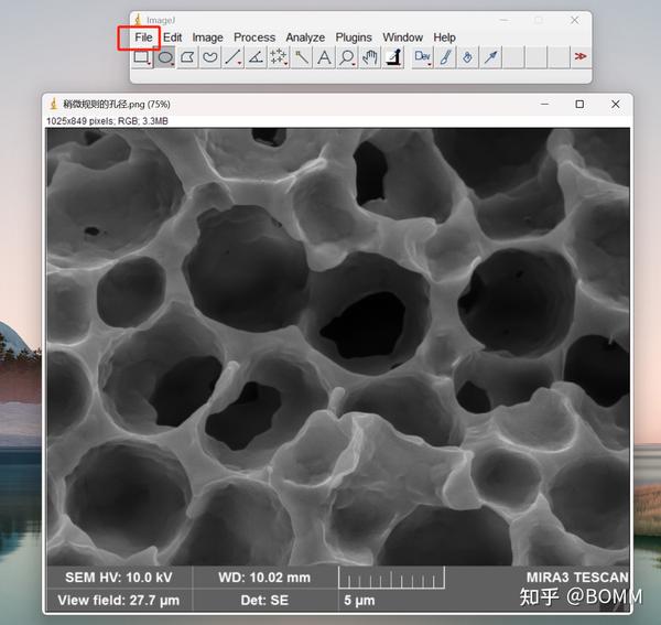 Downloads Imagej.net