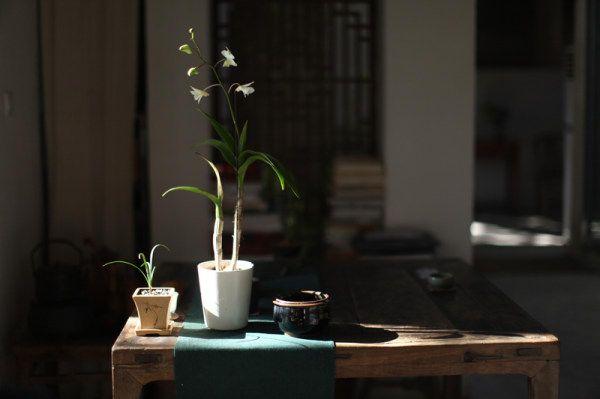 茶叶、土特产门店销售怎么开发客户的顶级策划