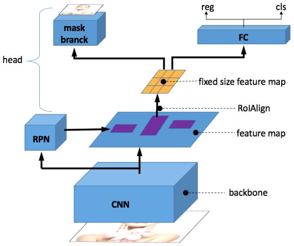 segmentation masks)分支,此分支與原有的分類和 bbox reg 並行