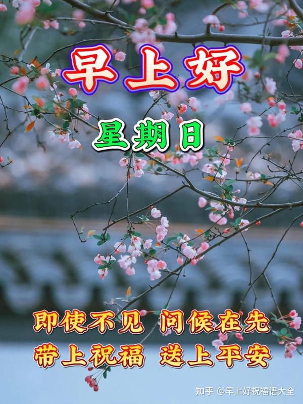周日早上好，温馨暖心早安祝福图片语问候语 - 知乎