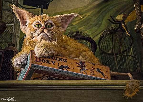 hp官设pottermore101张巧克力蛙卡片巫师资料整理第十弹