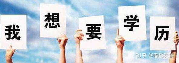 从初学者到专家