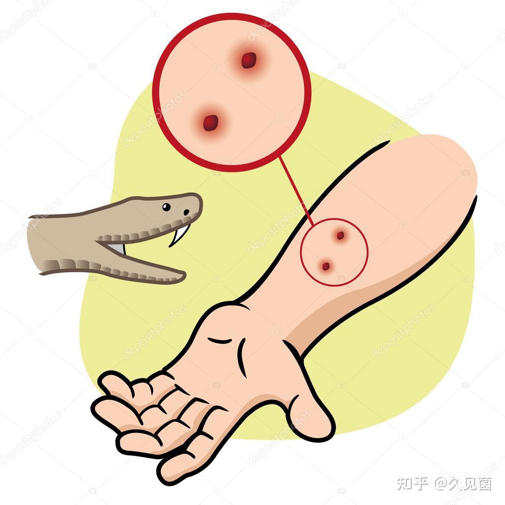 为什么第一次时间长