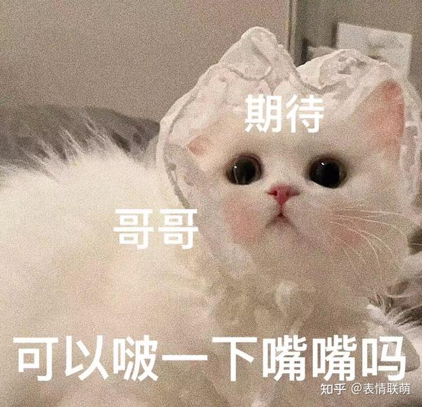 200张精选女生撒娇专用表情 - 知乎