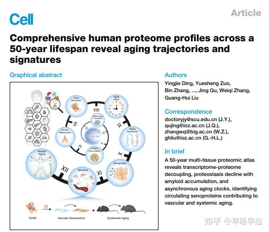 中国科学家揭示人类器官衰老新机制:血管或是“衰老中心” - 知乎