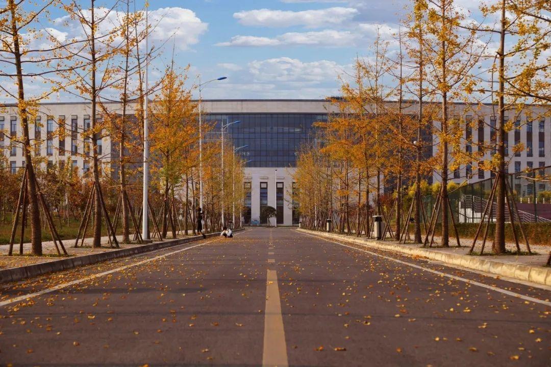 成都理工大学的校园环境如何