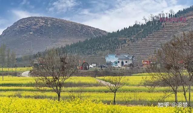 禹州无梁镇: 昔日"乱石冈" 如今处处"新绿肺" - 知乎