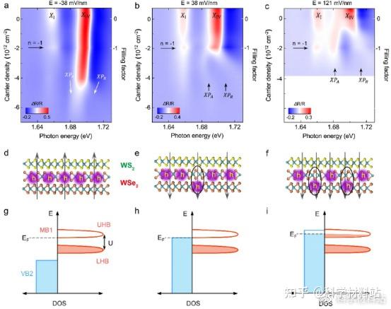 Nature Physics: 二维半导体超晶格异质结中的激子绝缘态 - 知乎