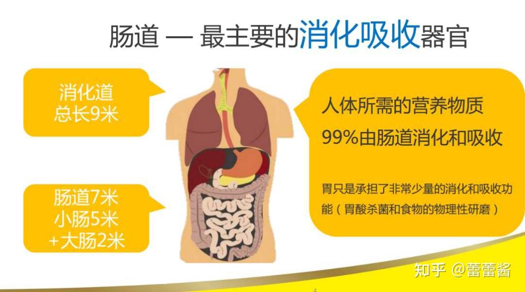 嘘天山童姥的秘密都在这里