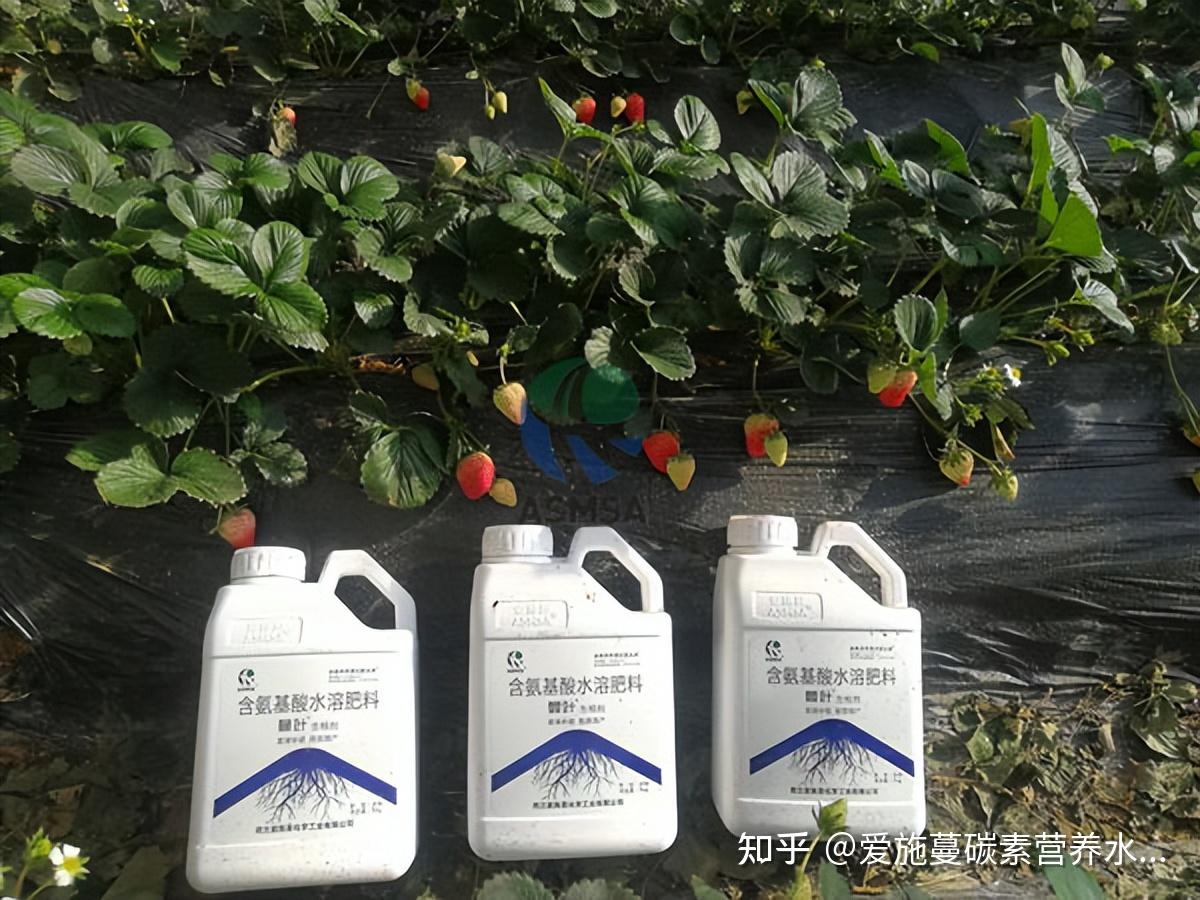 生根剂哪个牌子好?这篇文章告诉你 - 知乎