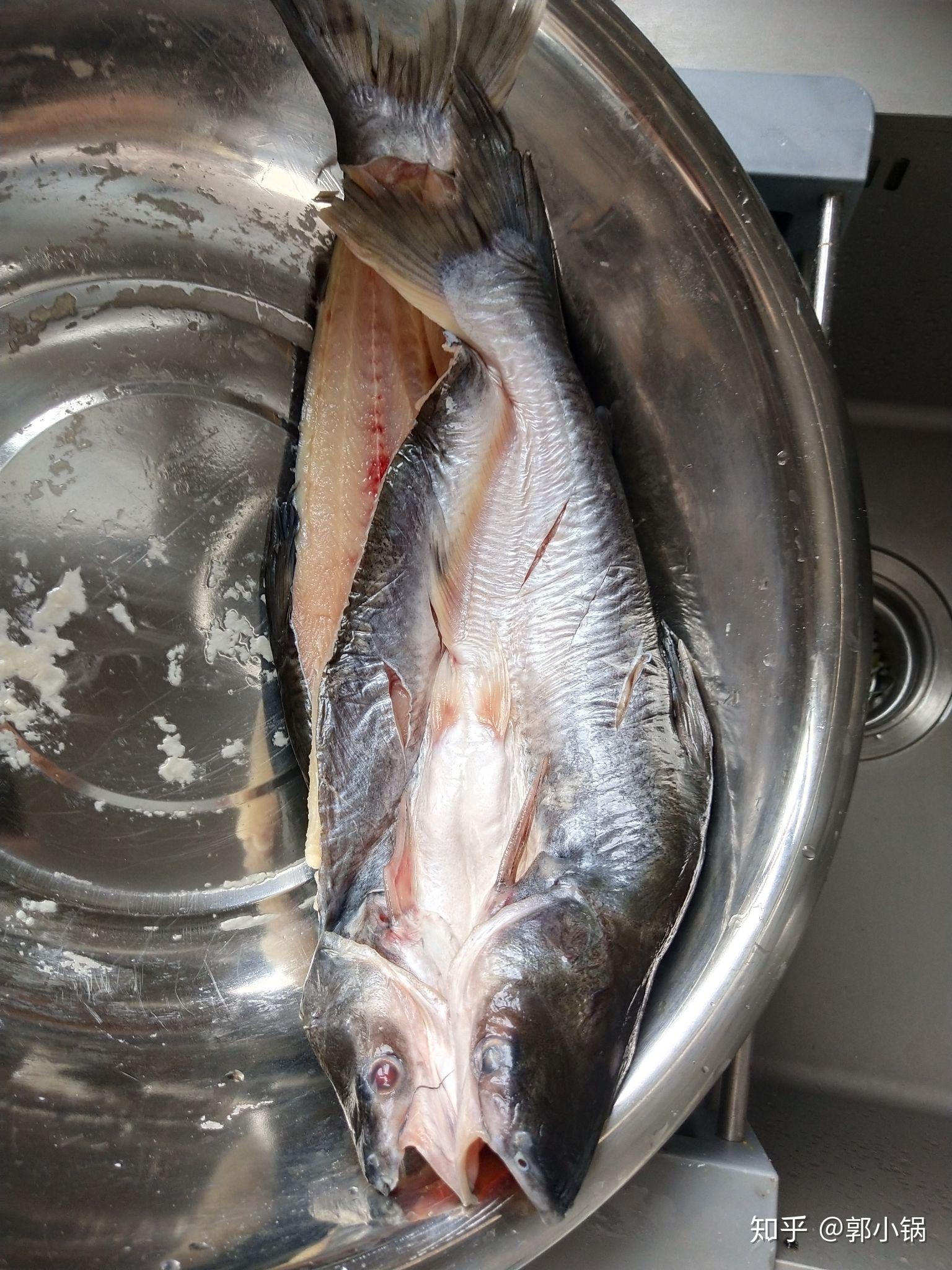 越南进口冷冻开背巴沙鱼 带皮龙利鱼 湄公鱼烤鱼 海鲜批发开背鱼-阿里巴巴
