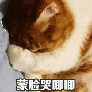 心存感恩,爱你所爱(感恩节)