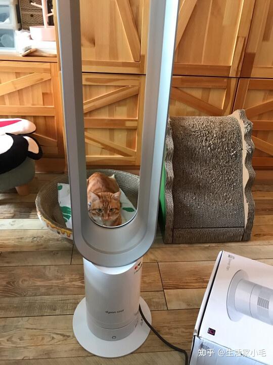 三,戴森am07配置参数,类型