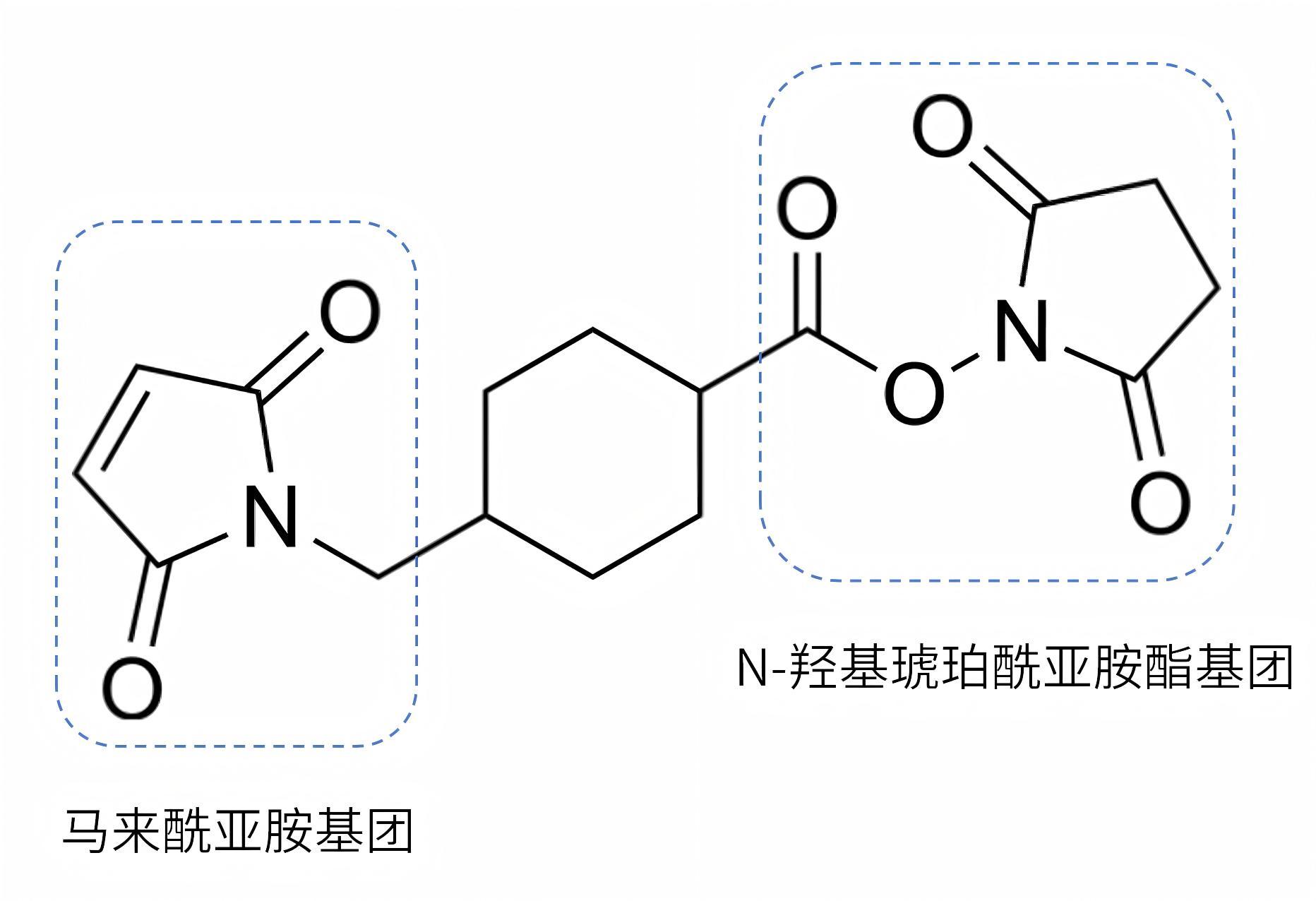 Smcc SMCC连接子:攻克非肝靶向瓶颈的siRNA“导航”利器 - 知乎