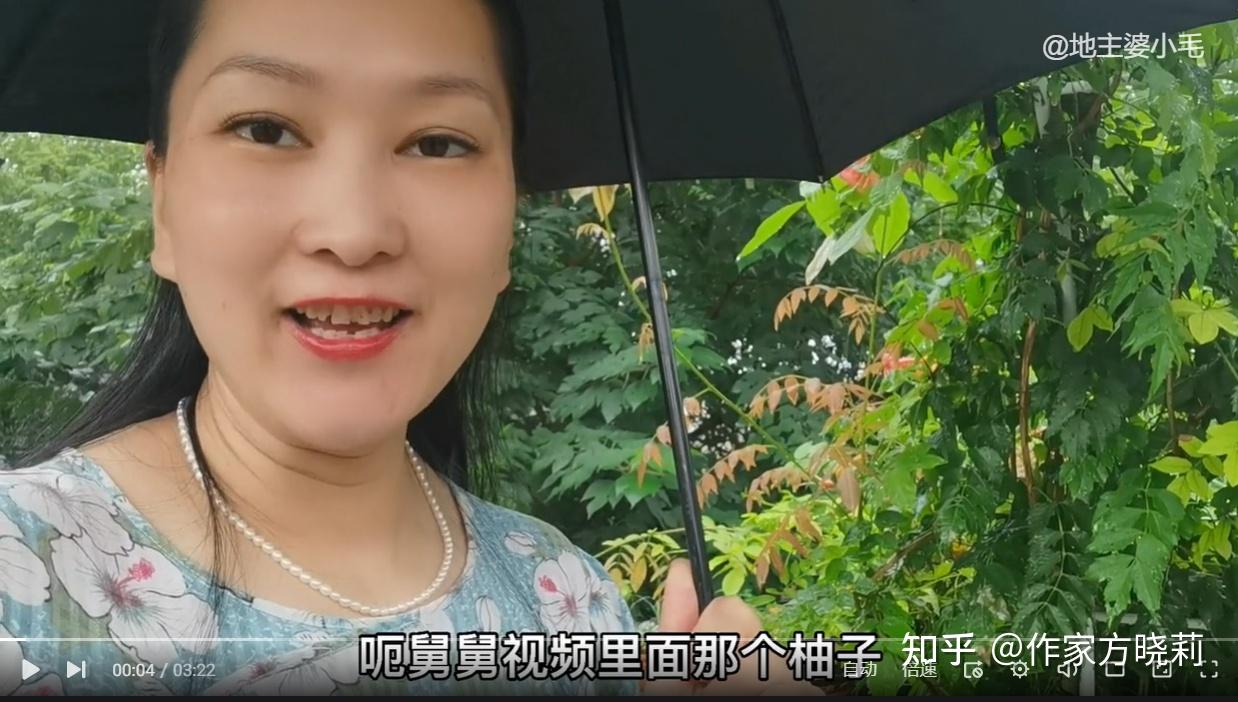 朱舅舅最新视频伞已透明柚结果了解读柚和伞是杭州常见