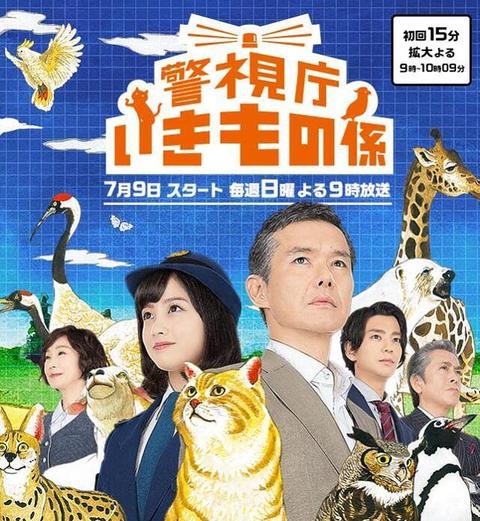 警视厅生物股长 日剧 知乎 警视厅生物股长 日剧 知乎